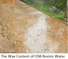 OSB resistance to water